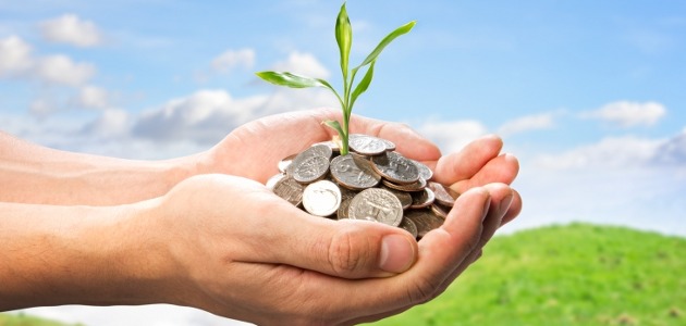 pièces de monnaie dans une main